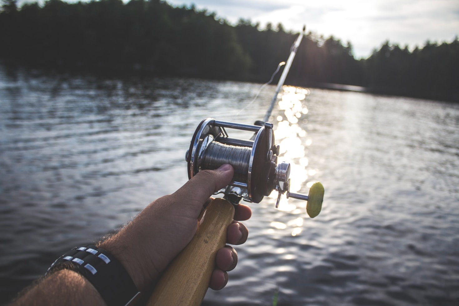 Top Five Baits For Canal Carp Fishing