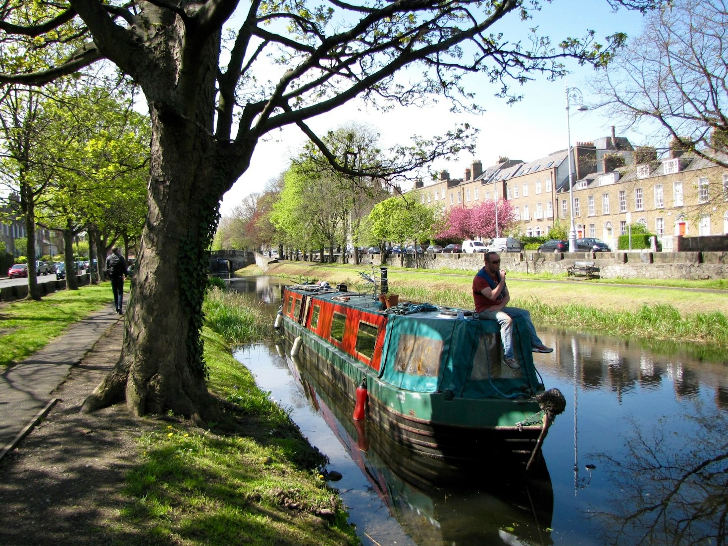 Decoding Seasonal Patterns Of Canal Carp Behavior